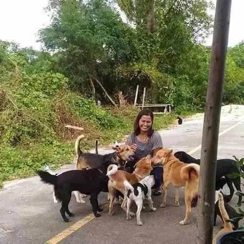 你不知道的国家冷门知识泰国,那些你不知道的泰国冷知识