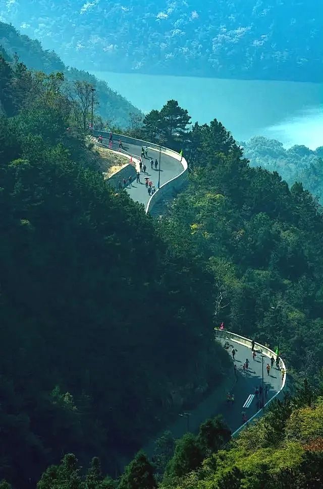 湖北有哪些红茶,湖北最受欢迎红茶