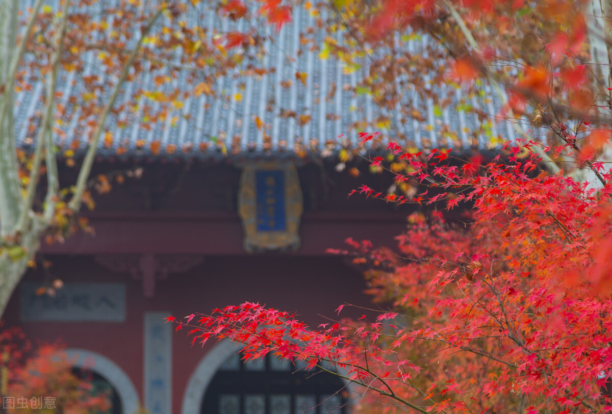 11月份去哪里玩最好玩呢,十一月份秋天适合去哪旅游国内