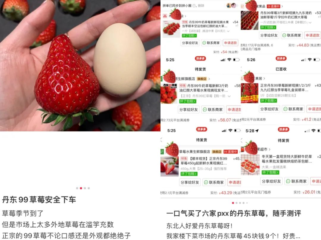 吃最贵的日本草莓,你吃过吗150元一斤的菠萝味草莓