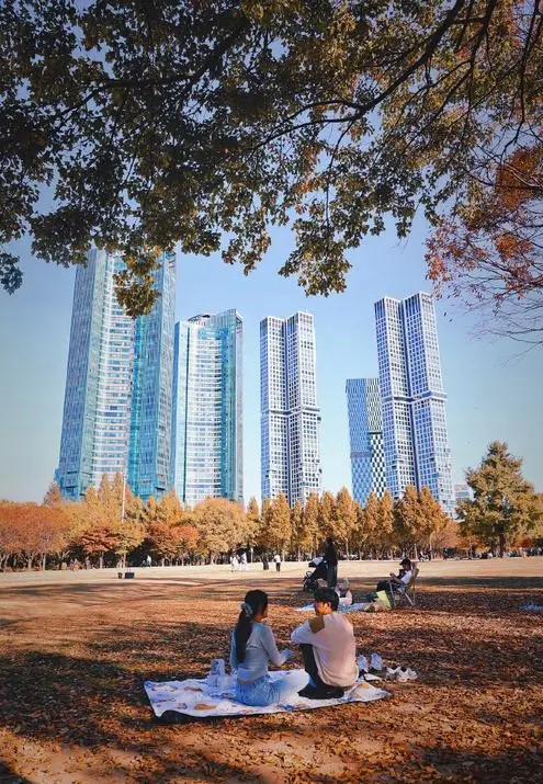 买车安全性排在第几位,买车要买安全性高的车