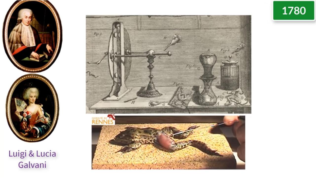 电灯泡的发明和普及,电灯泡是几几年发明的