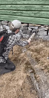 有没有结婚找不到伴娘的尴尬,实在找不到伴娘