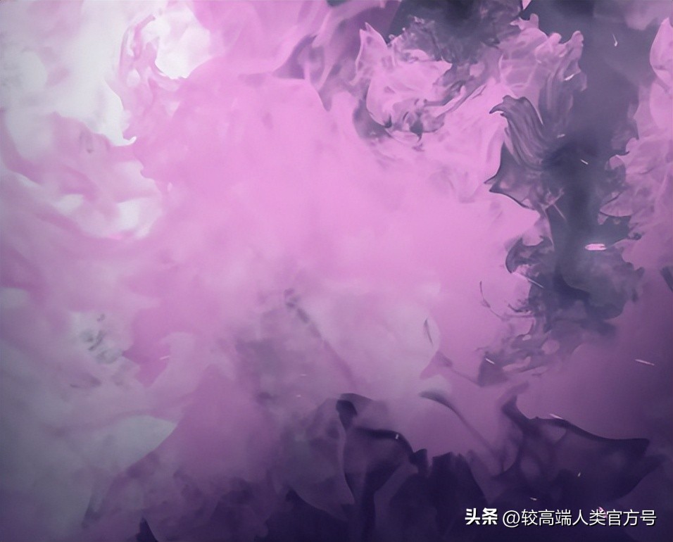 世卫组织说电饭煲致癌是真是假,世卫组织呼吁停止使用电饭锅