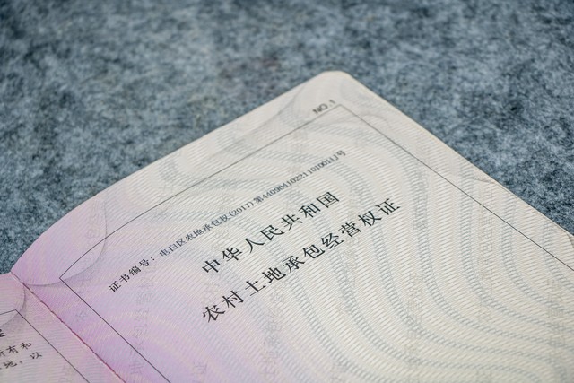 初级会计考证流程大概是什么,初级实务会计考证精讲