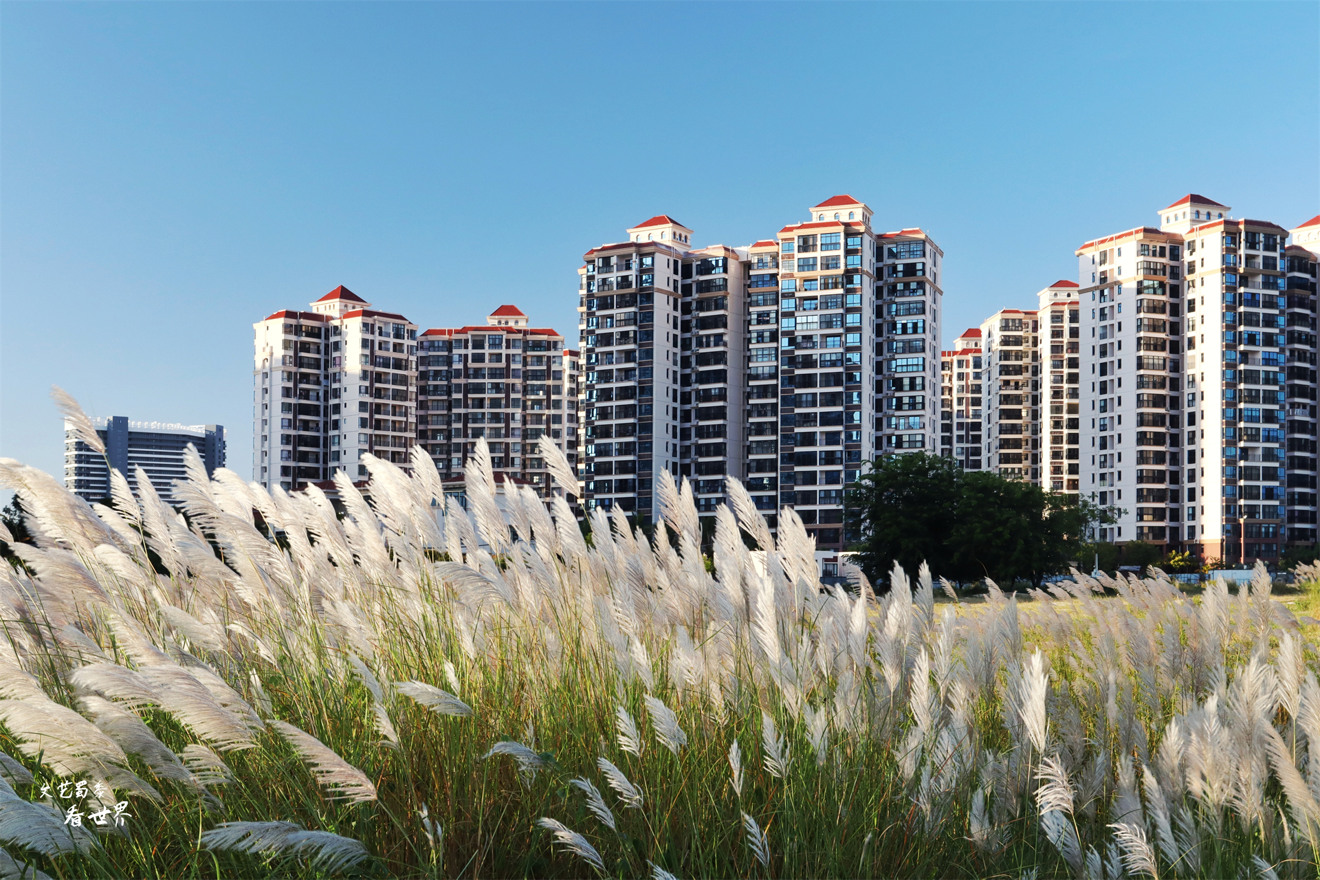 去海南过冬好还是三亚好,三亚和三沙哪个避寒好