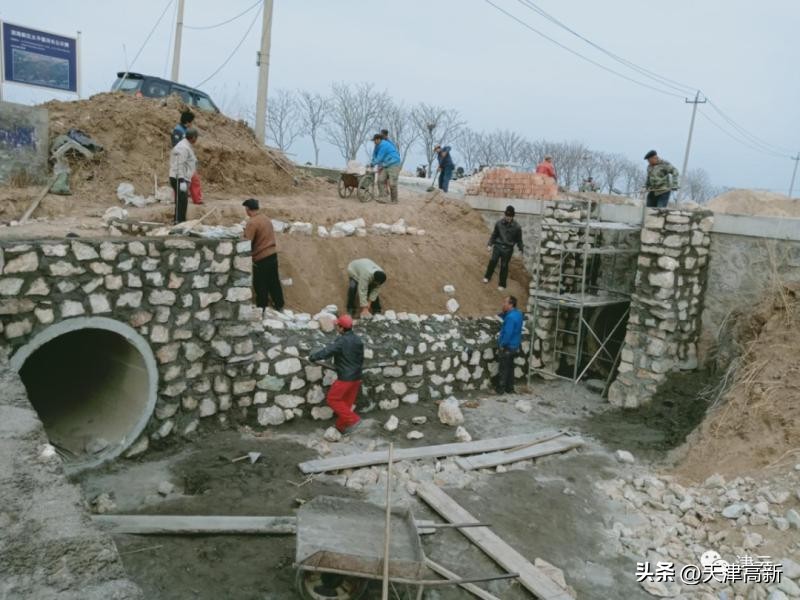 农民靠种地年收入达到3万,盐碱地增收