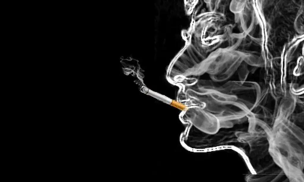 10元烟和100元烟的区别,10元与100元的香烟差别大