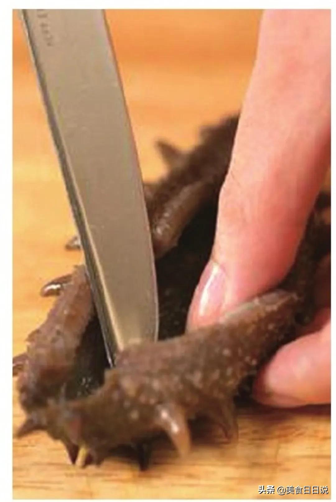 教你学正宗的海参做法,教学做菜海参