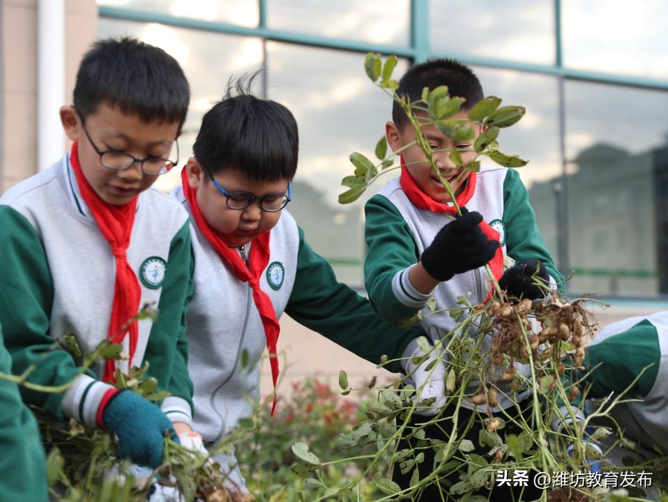 新闻周播报完整版,周播报抖音