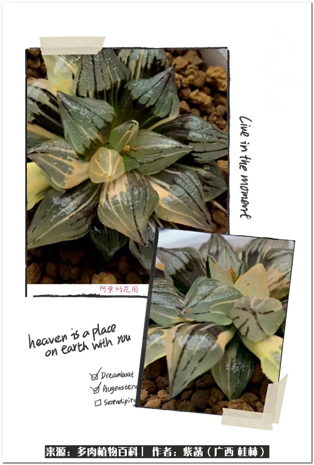 酷暑里的关爱，如十二卷般透亮绵长