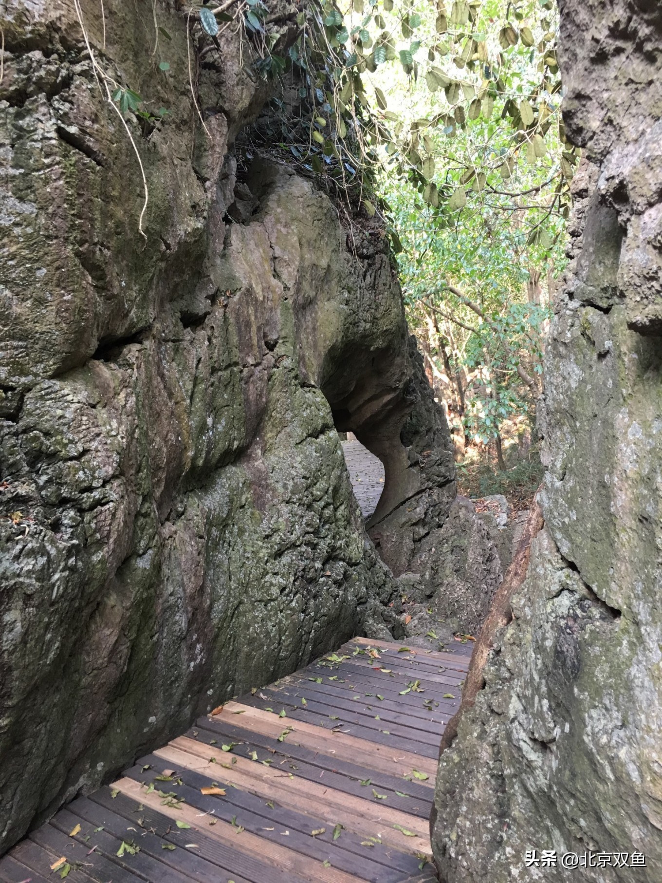 贵州黄果树最美的地方,贵州黄果树旅游攻略自由行