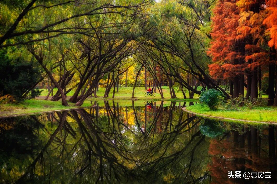 上海公园免费,上海免费公园排行