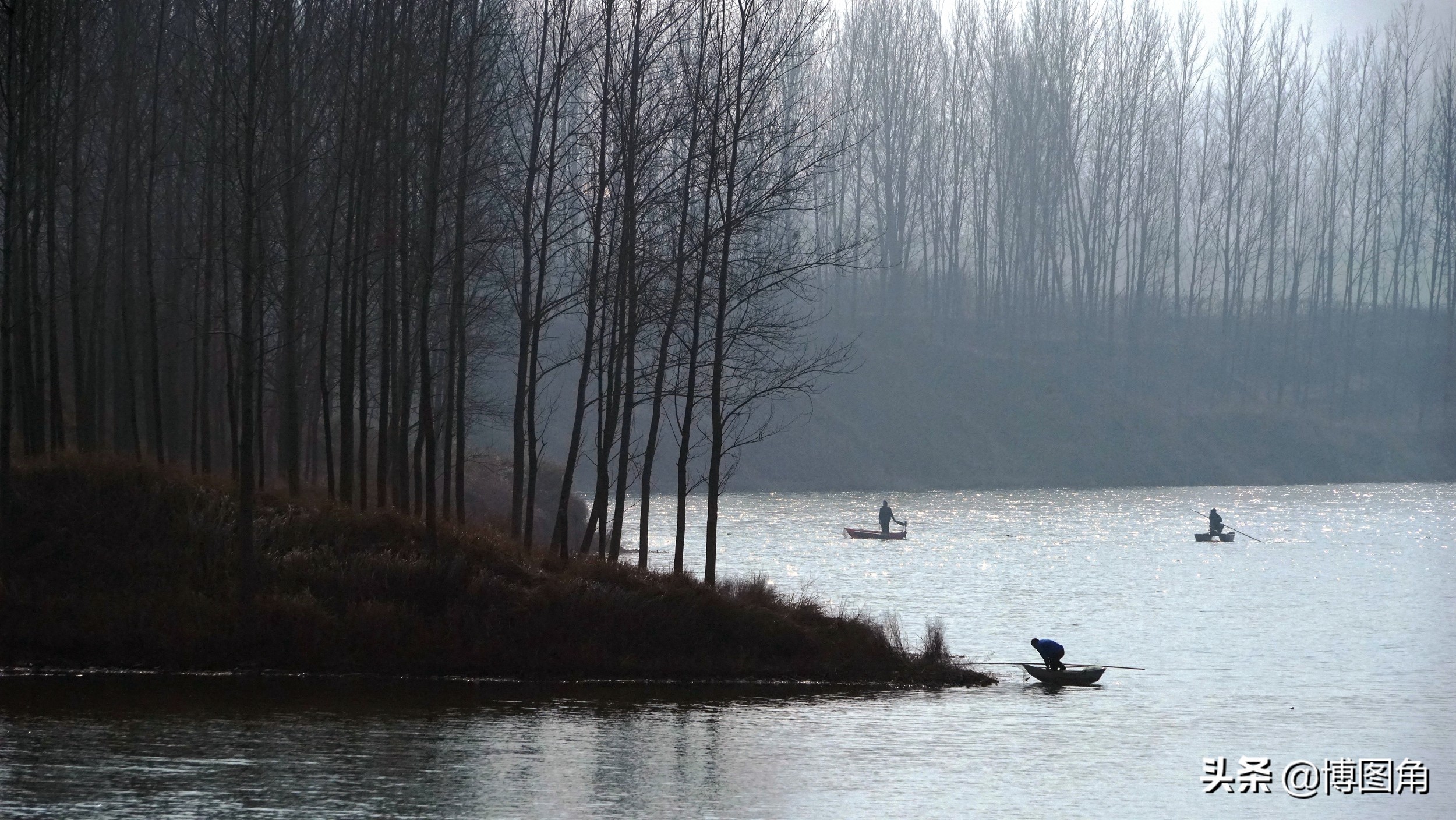 鸬鹚捕鱼渔民生活实拍精彩的瞬间,渔民与鸬鹚捕鱼图片