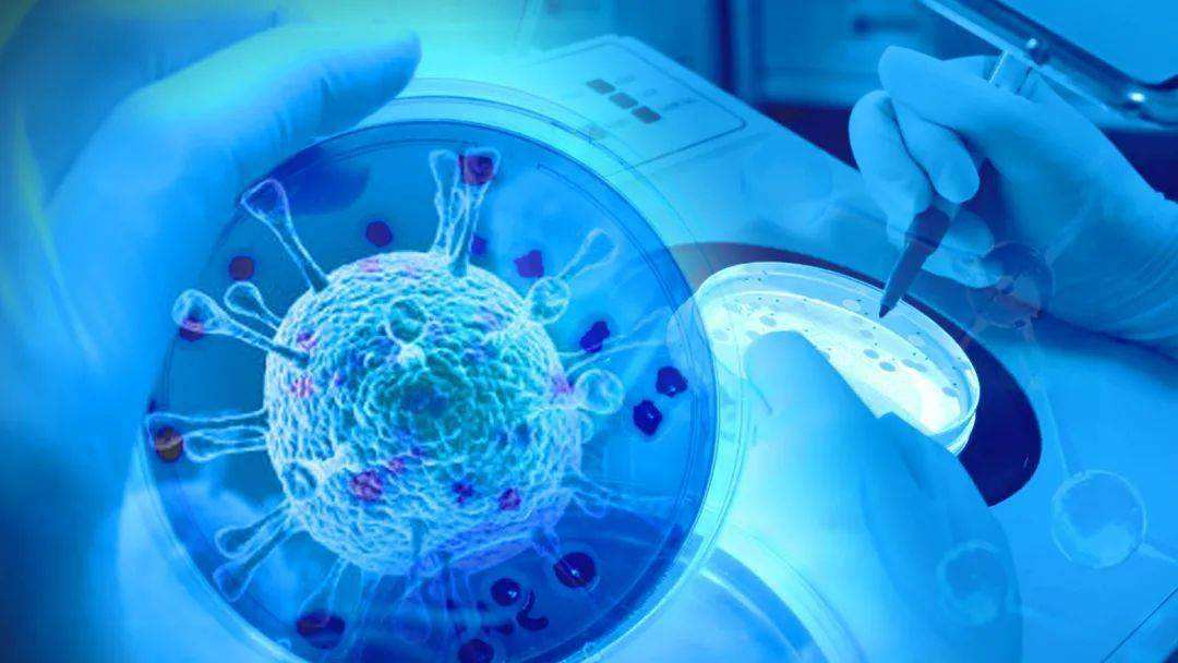 干细胞的本质逻辑,干细胞研究的伦理问题