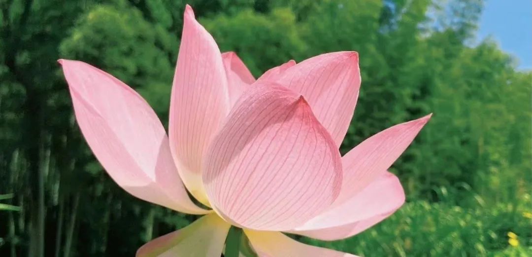 2023年三伏天时间一览表,2023年三伏天具体时间表