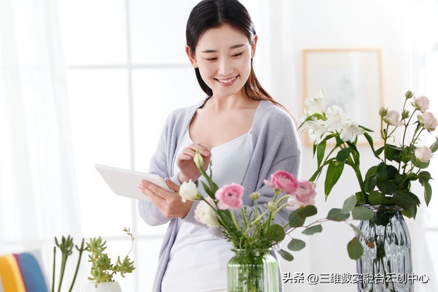 数字世界的四大特征,数字世界深度解析