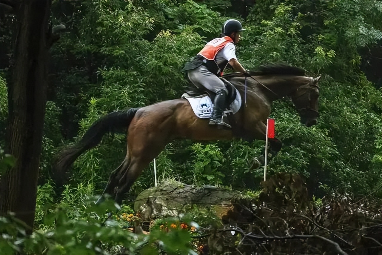 15项活动,15项活动干货满满