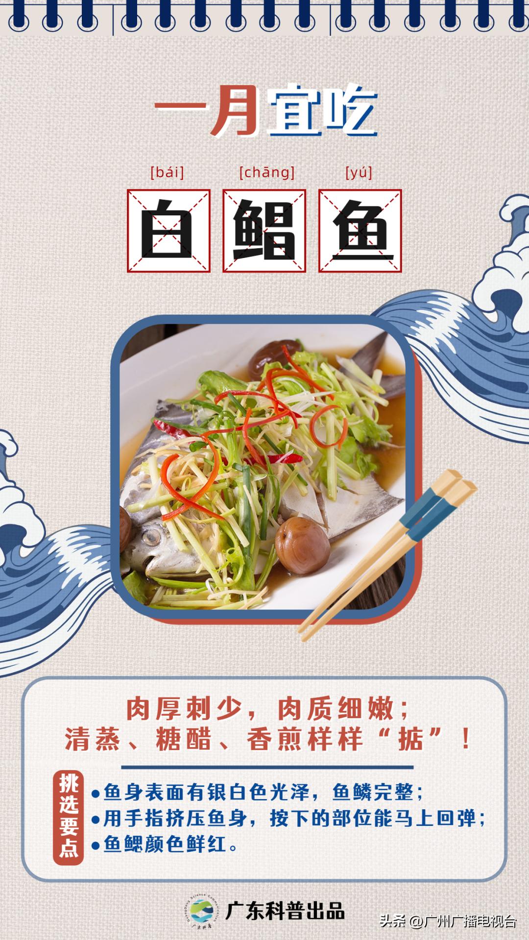 休渔期到了吗,开渔期的广东海鲜市场