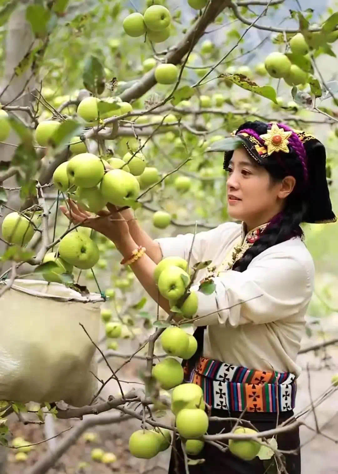 四川女孩嫁牧民,四川女孩嫁甘肃农村