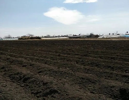 俄开放海参崴24小时，中国取消83万吨美国订单，拜登的时间不多了