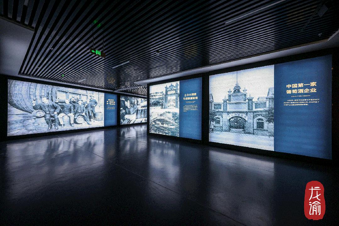 最好吃的爆浆葡萄,香甜爆汁葡萄