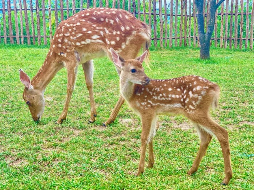 白鹿原影视城打卡攻略,西安白鹿原影视城打卡