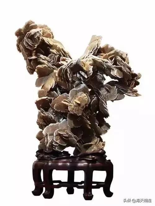 难得一见的仙鹤假奇石,这些难得一见的奇石美醉了