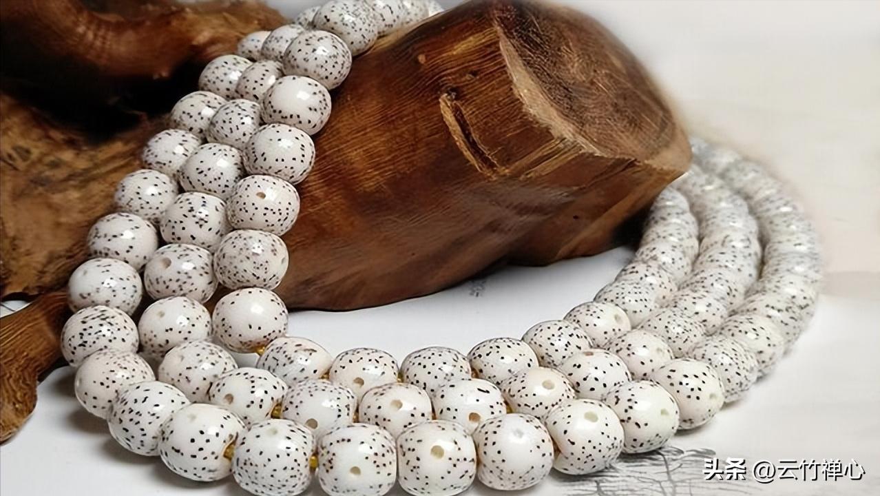 算盘珠星月菩提真假辨别图,小米粒星月菩提怎么看真假