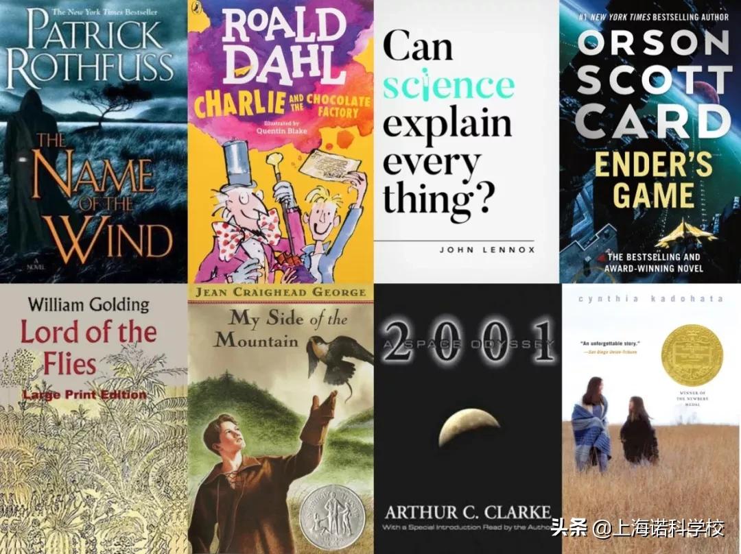 ReadAndReap丨记2022诺科冬季书展