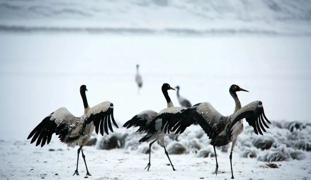 昭通大山包一览众山,昭通市昭阳区大山包乡