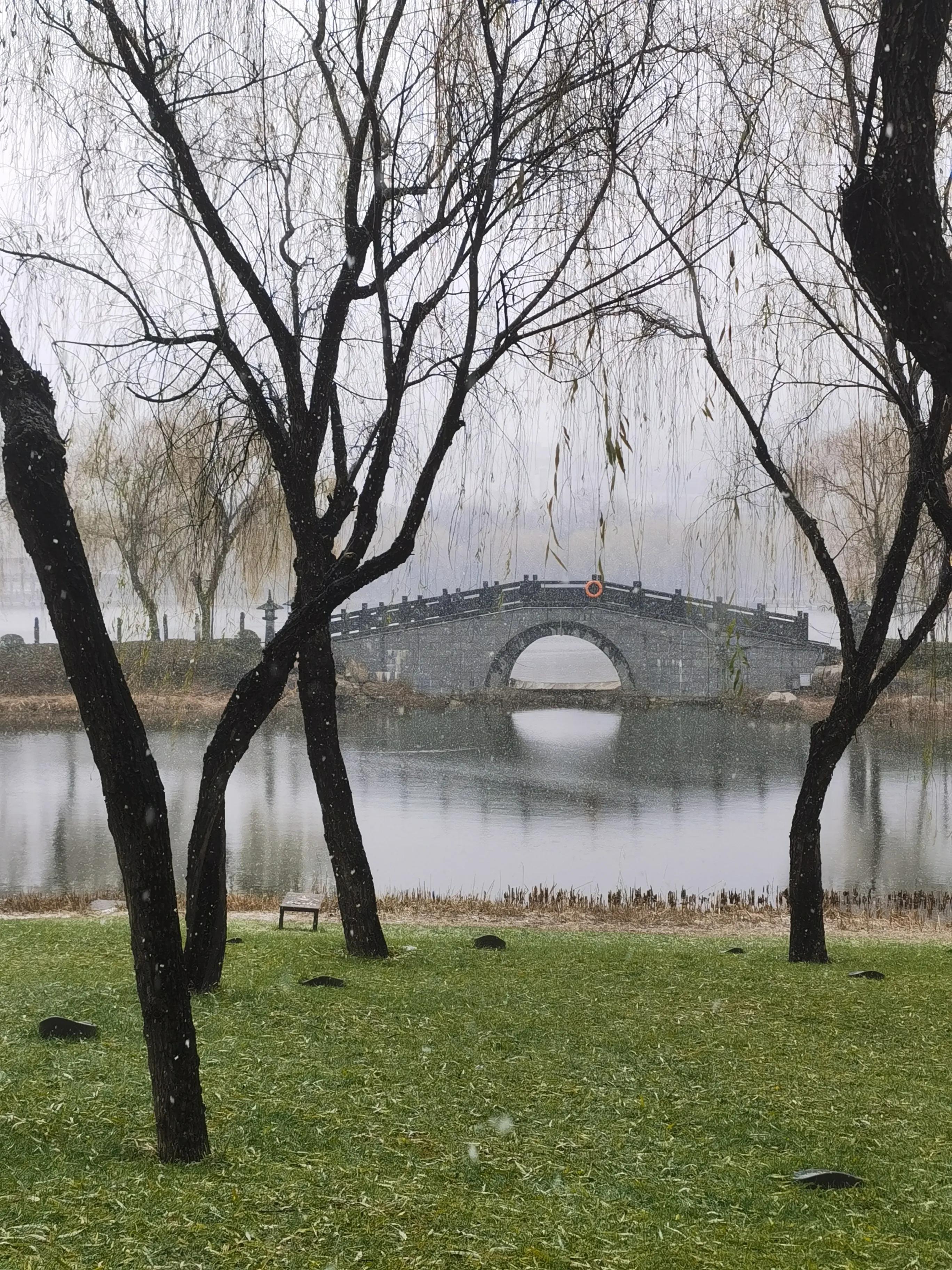 冬雪胖胖吖,冬雪诗句