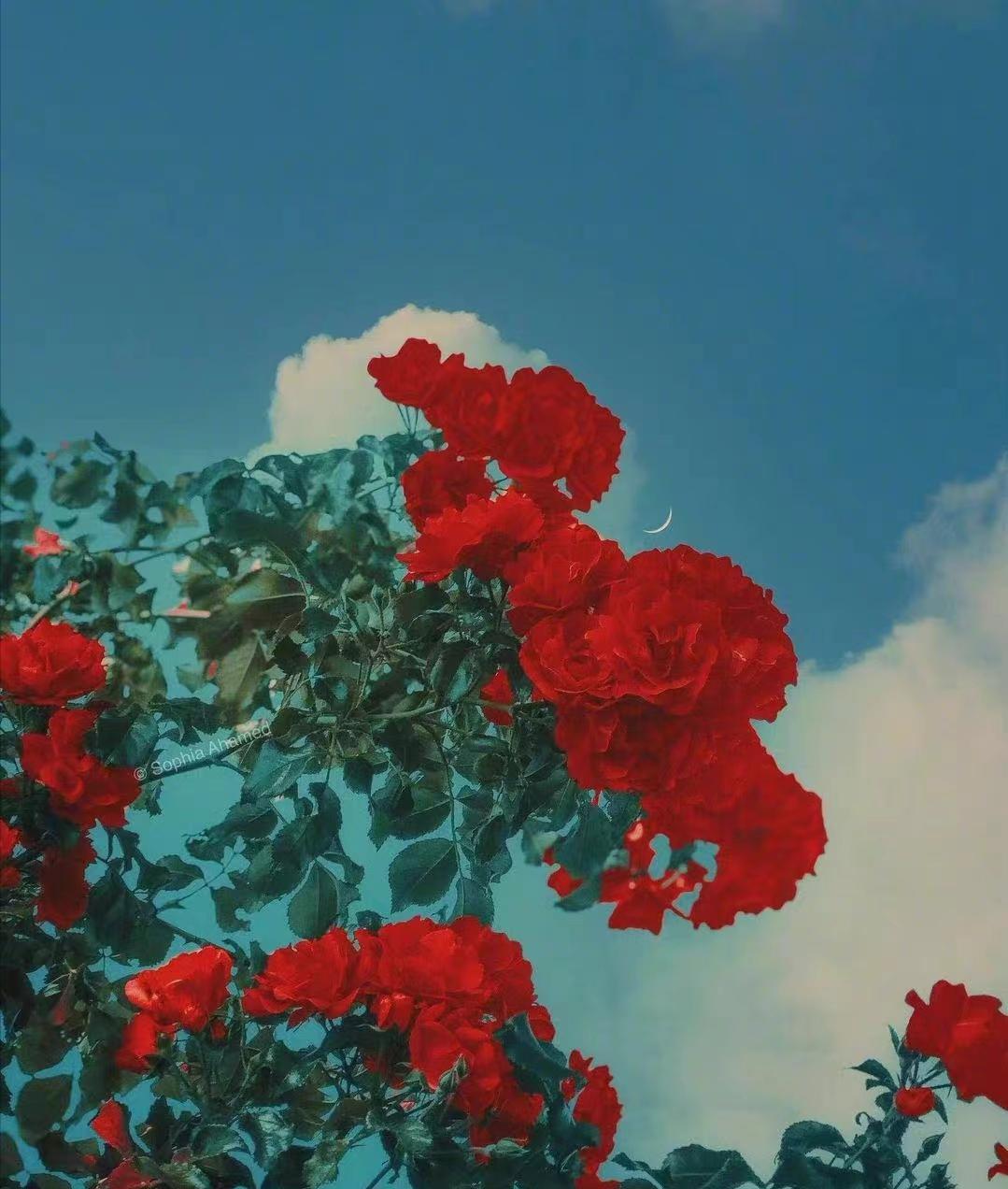 断联后男人多久会忍不住联系你,断联后男人开始思念你