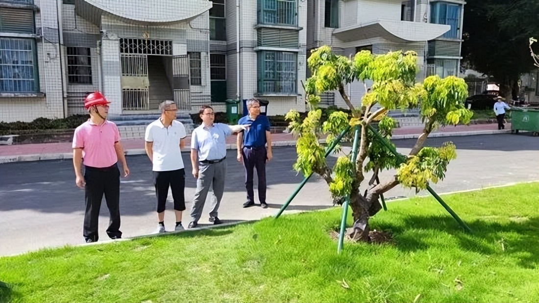 市水务集团到石东干渠（肇庆中学段）河涌整治工程实地调研
