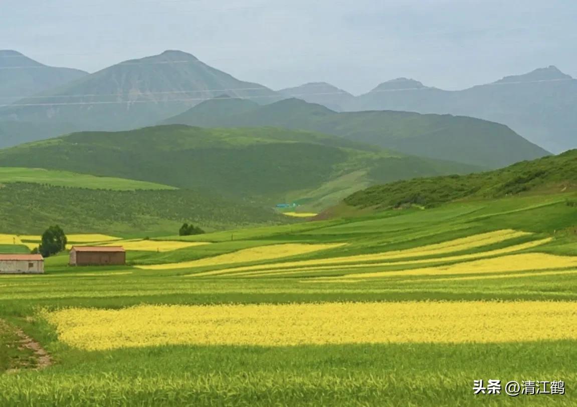 人称“蜂花醇”，有“9大增产用途”，对照使用，可提质增效