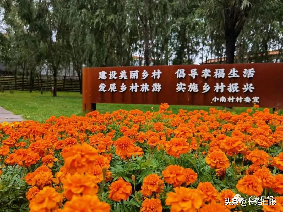 「我们的新时代」屯留区小南村：​特色民宿“点亮”小山村