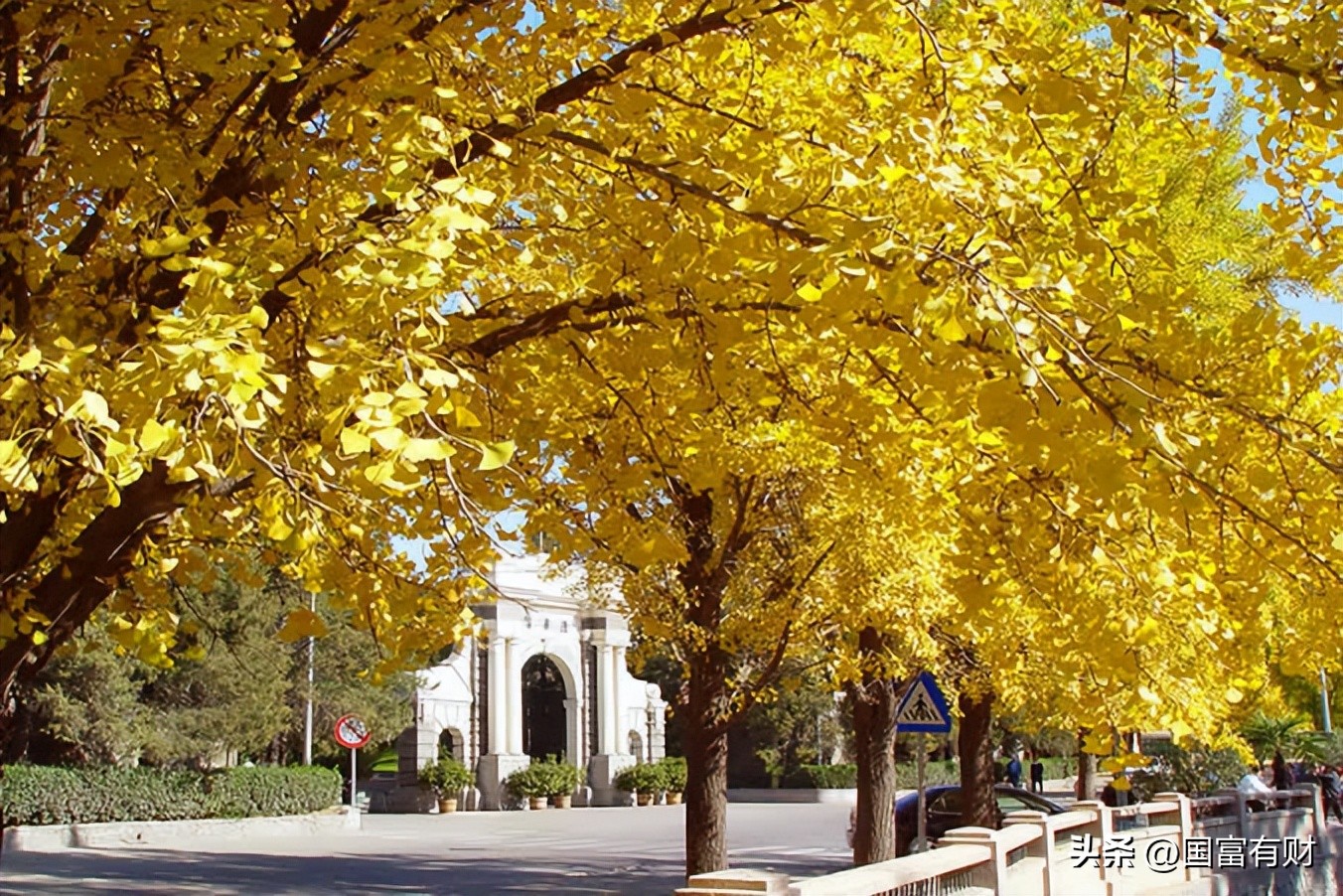 清华大学是谁创建的,清华大学世界排名