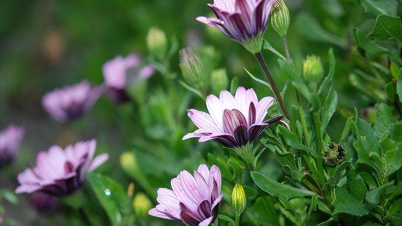 面对瞧不起你的人，最好的反击是这样的