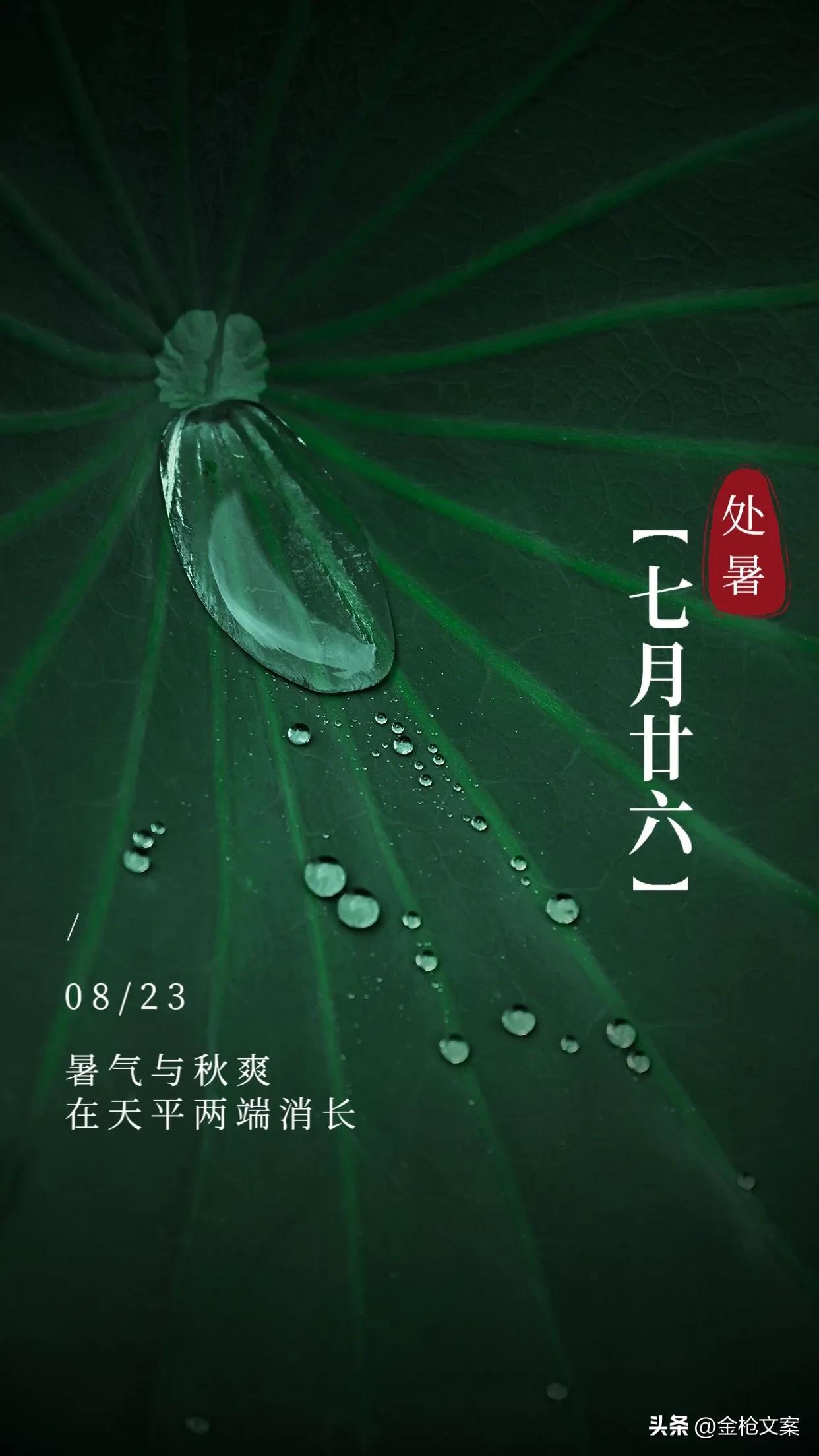 二十四节气处暑朋友圈,二十四节气处暑日记