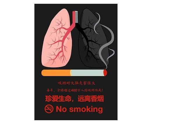 心跳快慢与寿命有关吗,心跳快慢会影响人的寿命