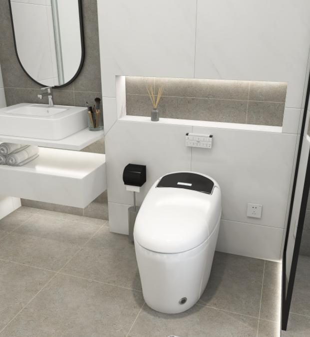 智能马桶不冲水小窍门,智能马桶的十大忠告