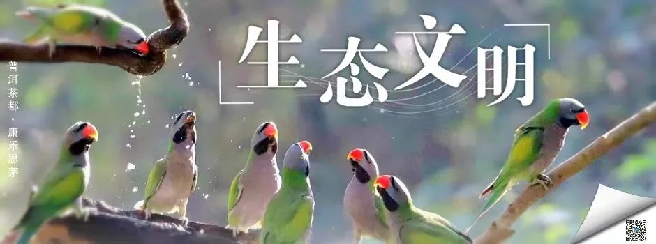 520恰逢周六深圳婚姻登记预约火爆,520在婚姻登记处上班的一天