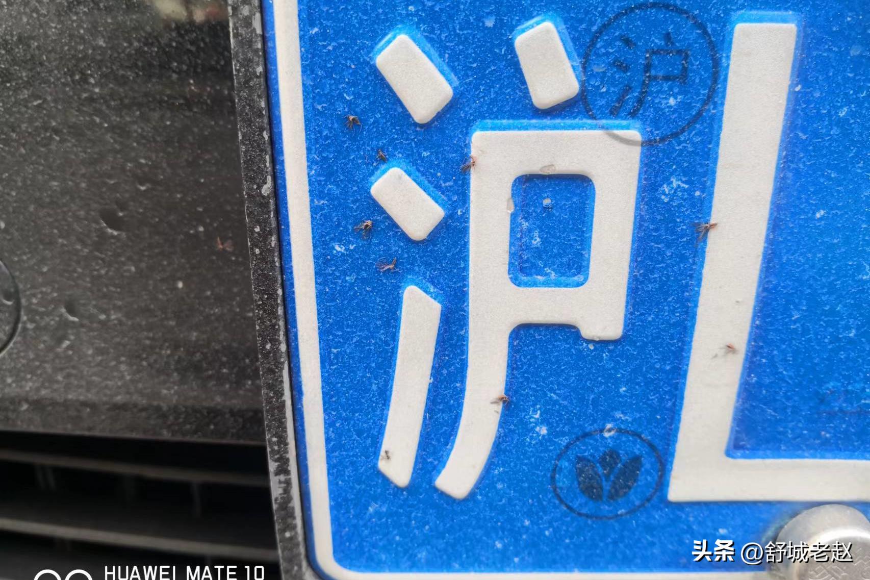 千车千号一牌一方——谈谈车辆号牌