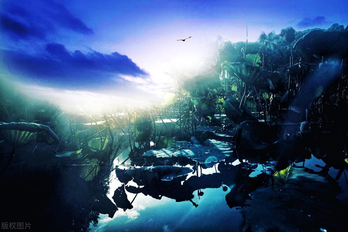 明月指引:寻找月晶的玄幻冒险