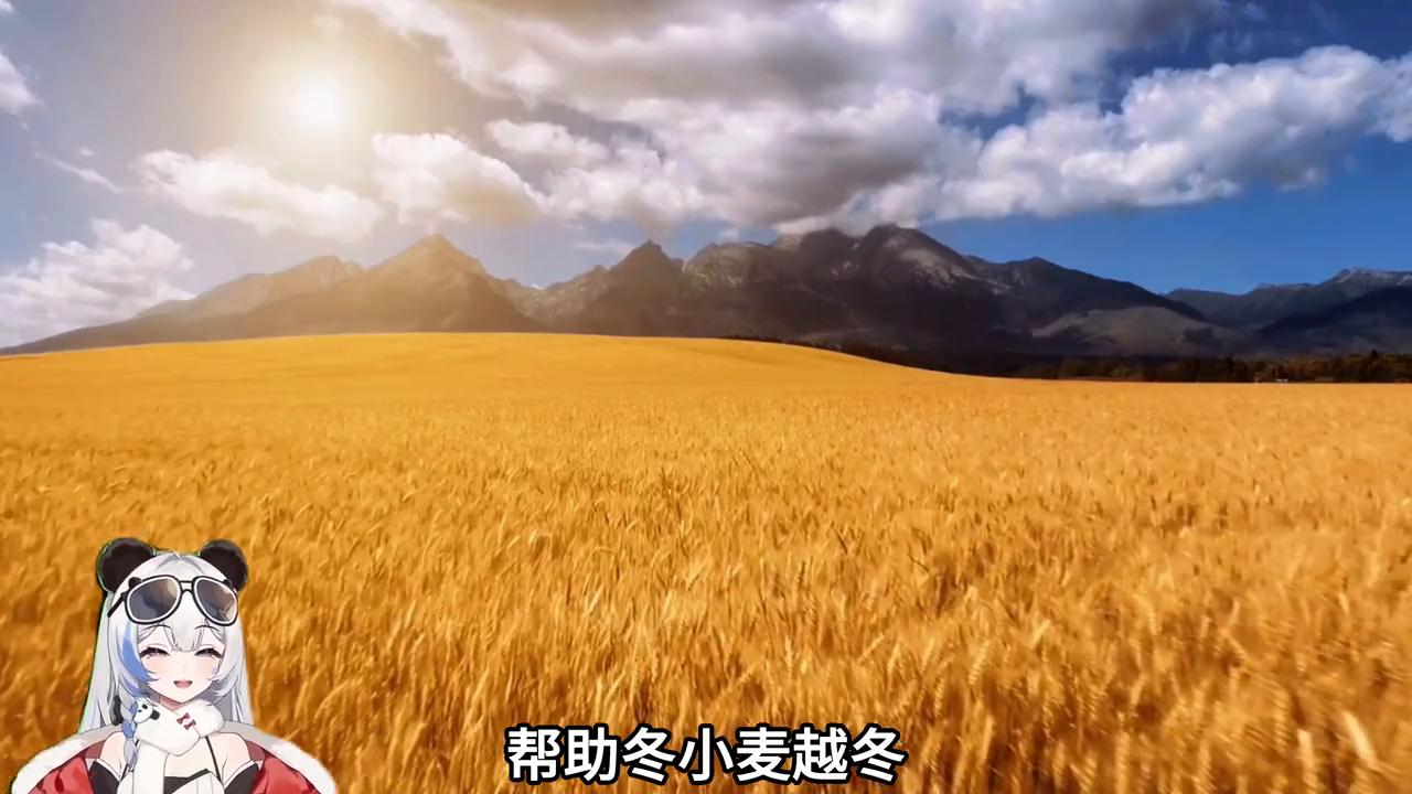 2023年12月15日闪讯今天都发生了什么？让我来告诉你❤