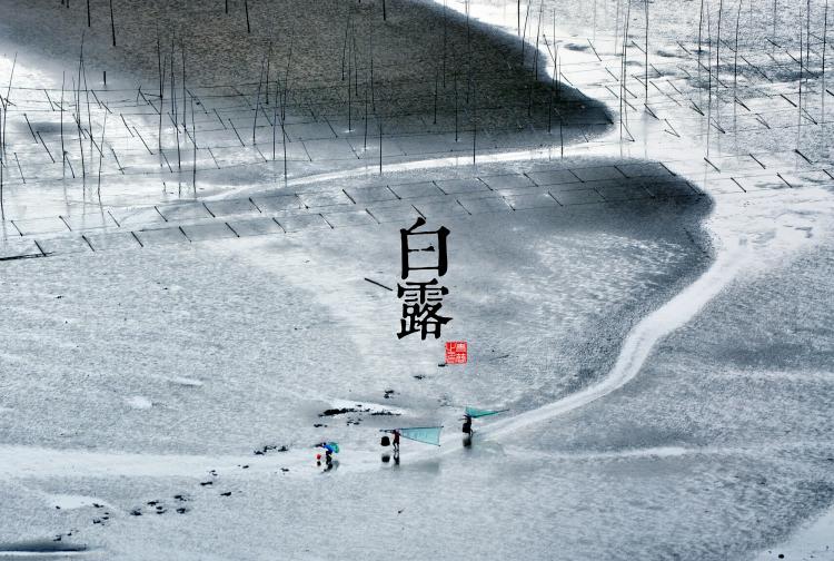 精美漂亮的二十四节气图,二十四节气图画大全图片