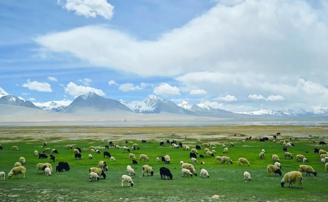 7月24日|浓浓援藏情，沪藏一家亲珠穆朗玛峰、扎什伦布寺9日“上海-日喀则”援藏旅游包机活动
