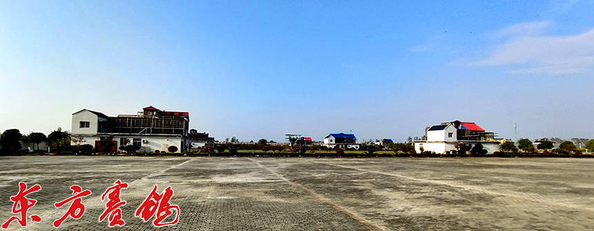 武汉福齐获奖鸽,2019武汉福齐国际集鸽名单