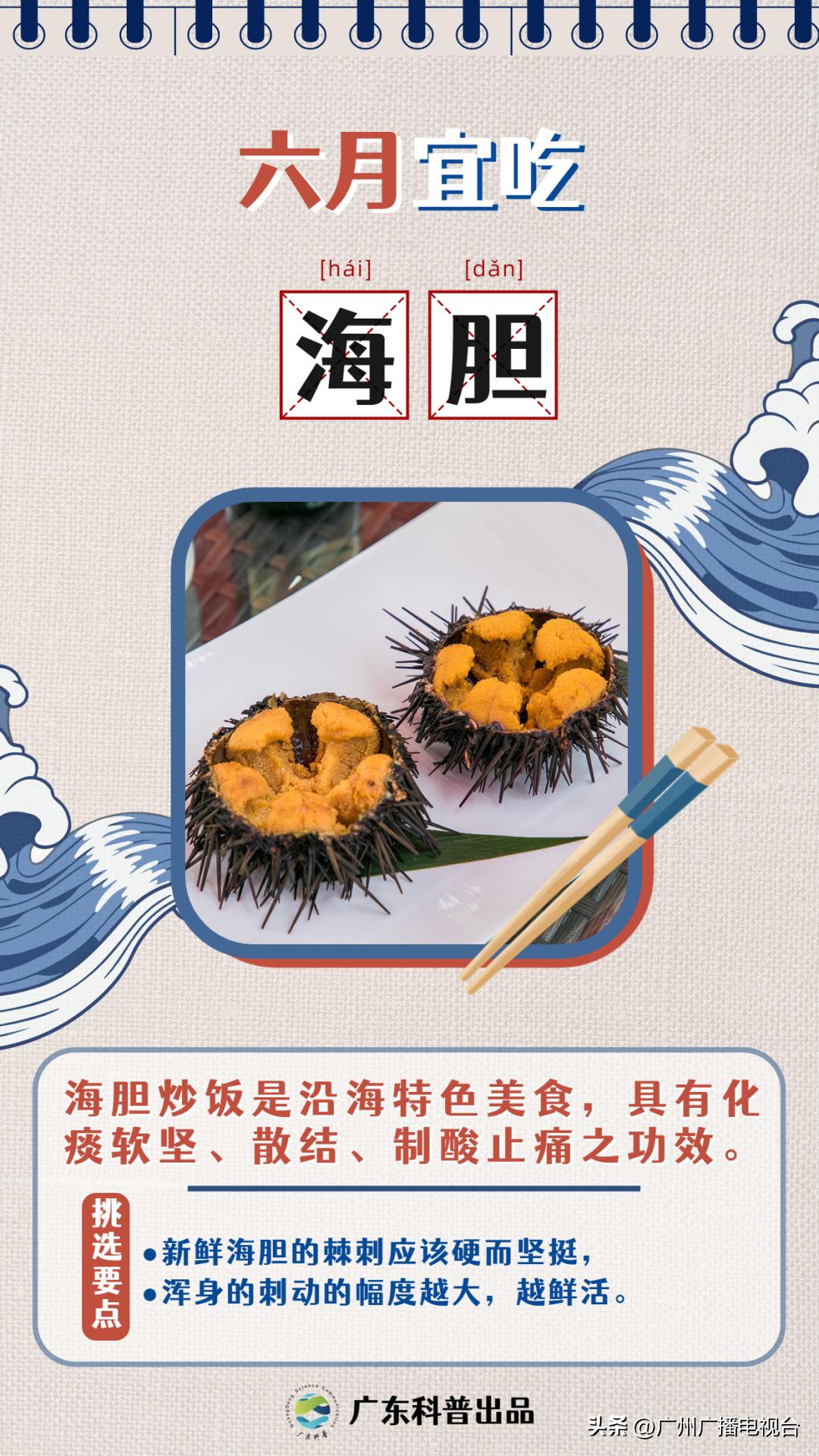 休渔期到了吗,开渔期的广东海鲜市场