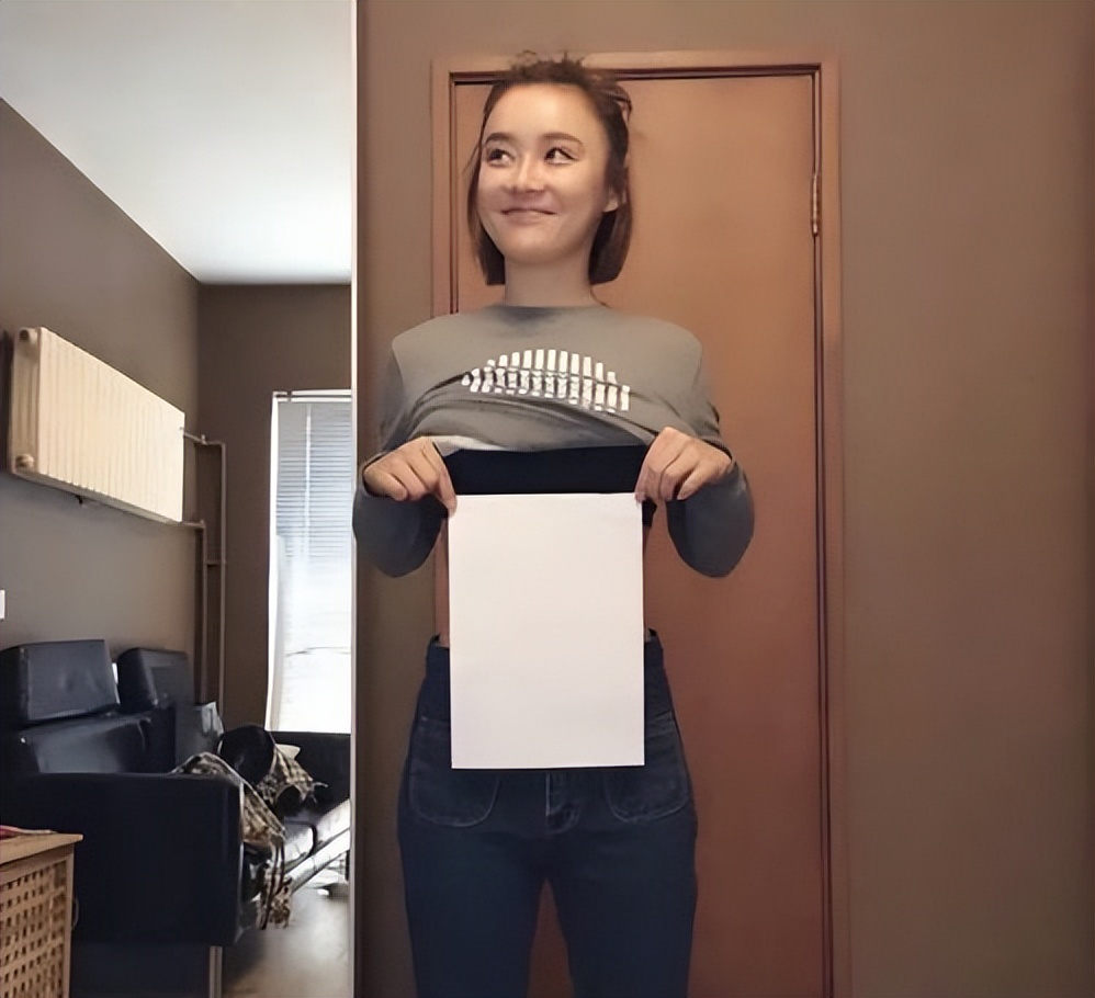 新晋网红电子小猪,网红电子小猪是怎么火的